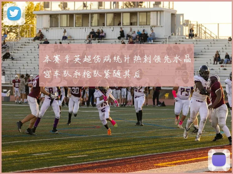 本赛季英超伤病统计热刺领先水晶宫车队和枪队紧随其后